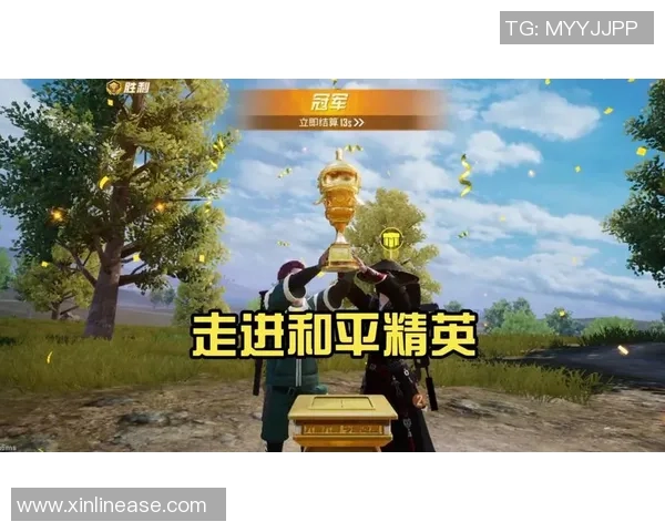 专访陈丽揭秘和平精英成功背后的策略与创新之路